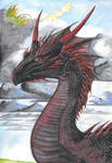 Drogon by juliemeynot Drogon by juliemeynot