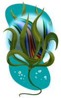 Jewel of Aquella by Aqrion-Admin