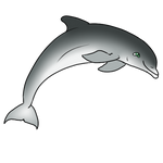 Bottlenose Dolphin by Aqrion-Admin