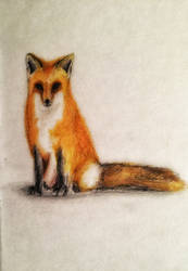 Fox ~ pencilcolors