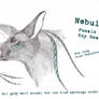 Nebula the Wolf