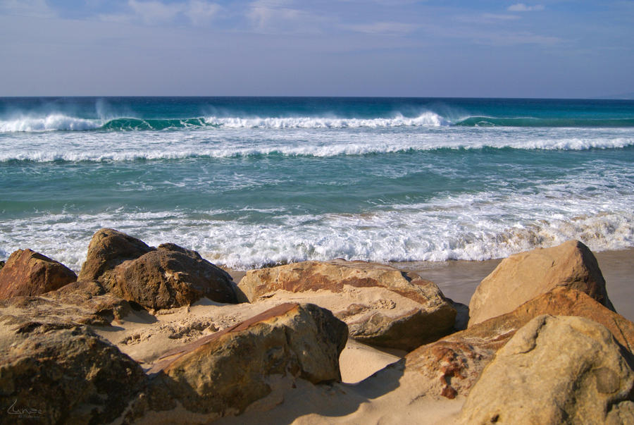 Tarifa