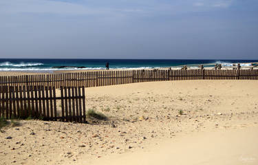 Tarifa