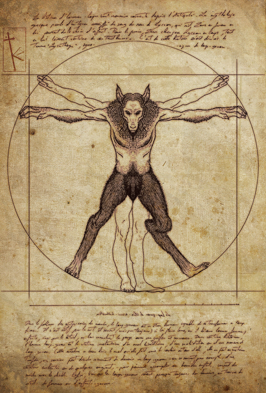 Harry Potter Vitruvian Werewolf By K Zlovetch On Deviantart Harry Potter Vitruvian Werewolf By K Zlovetch On Deviantart