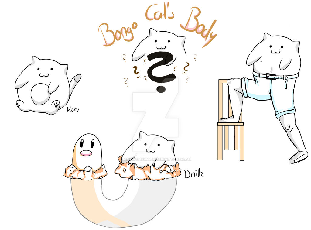 Bongo Cat Variant What does Bongo Cat look like?! by Chanthewolf on DeviantArt