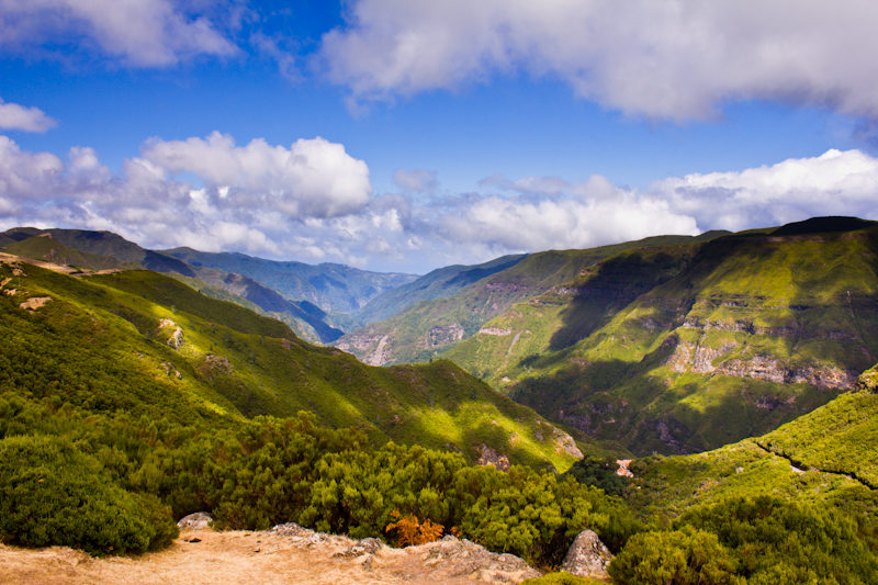 Green valley in Madeira