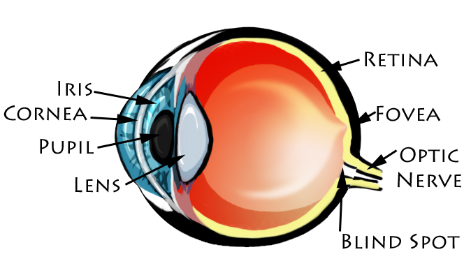 Eye Diagram by Brittlebear on DeviantArt