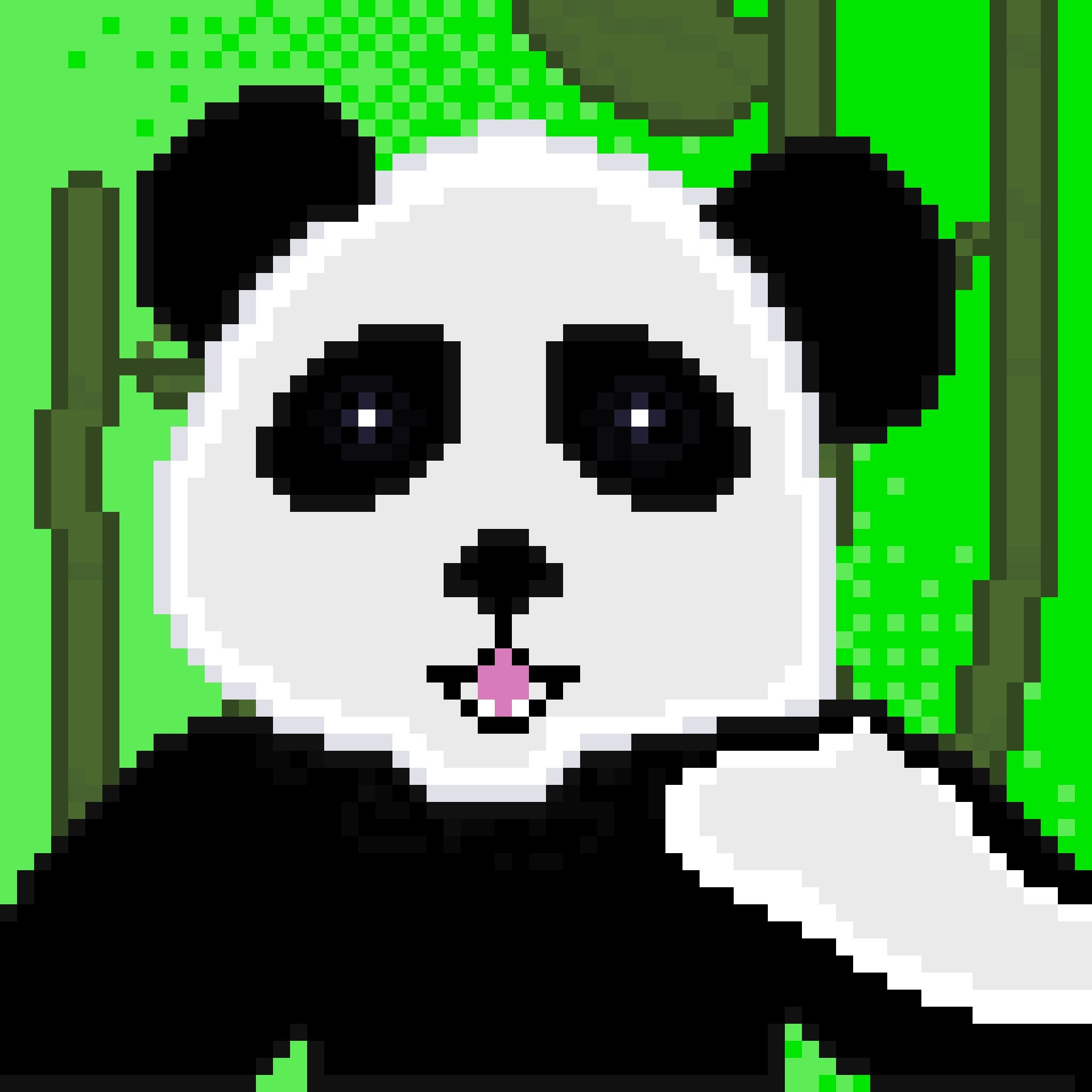 JCG-panda