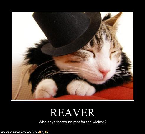 Reaver LOLCat