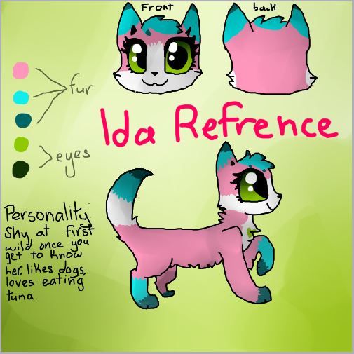 Ida Referance Sheet