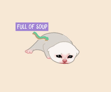 Full of Soup