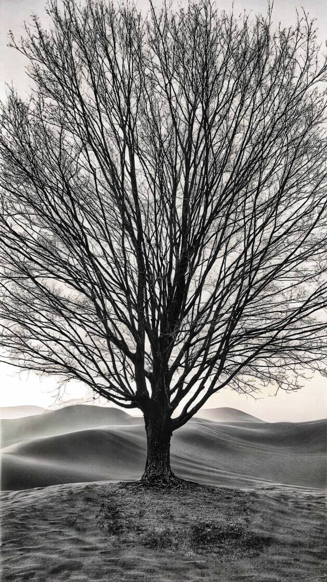 Global Warming by Robert-1112 on DeviantArt