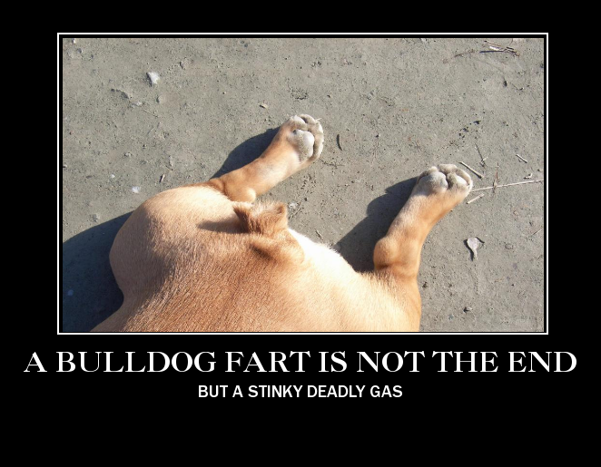 Bulldog farting online