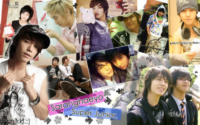 Super Junior messy collage?