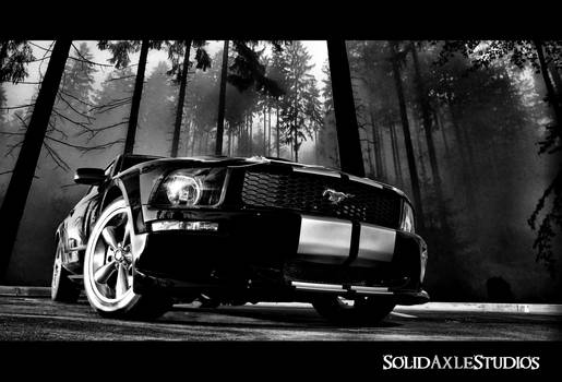 Moody Mustang