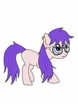 Pony Bookworm