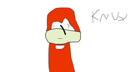 Knux The Stupid