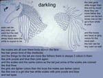 darking breedsheet by theliondemon-kaimra