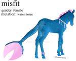 misfit water horse adopt closed by theliondemon-kaimra