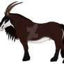 006 sabiti