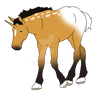fehire foal for Sannengoat