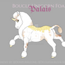 K766 boucle foal