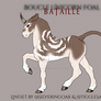 N802 boucle foal