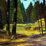 4 Seasons - Summer - Sunny glade