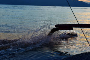 Sunset Water Striding