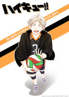 Haikyuu!! - Sugawara Koushi