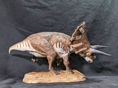 20th scale Torosaurus!
