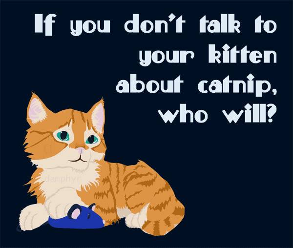 Talk to your Kitten by damphyr