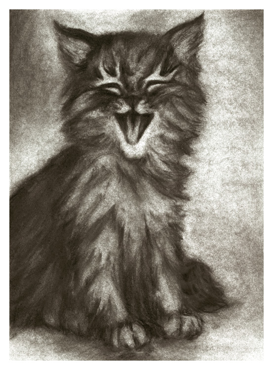 Kitten Giggle by damphyr