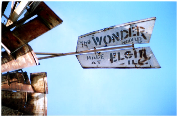 Wonder Elgin