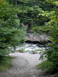 Nature_Scape_rapids forest