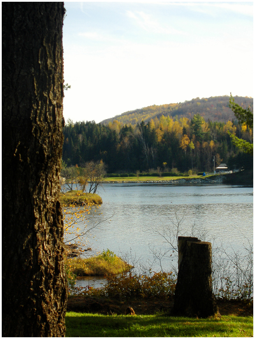 Nature_waterscape_lill island