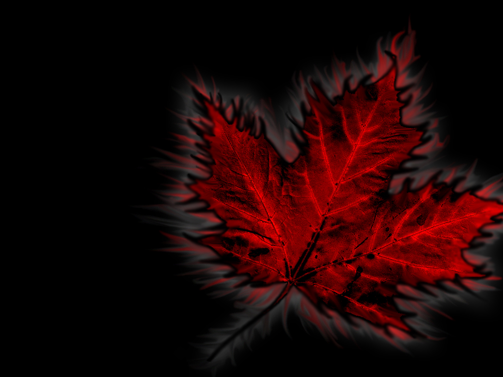 Maple Leaf