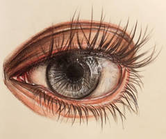 Grey eye