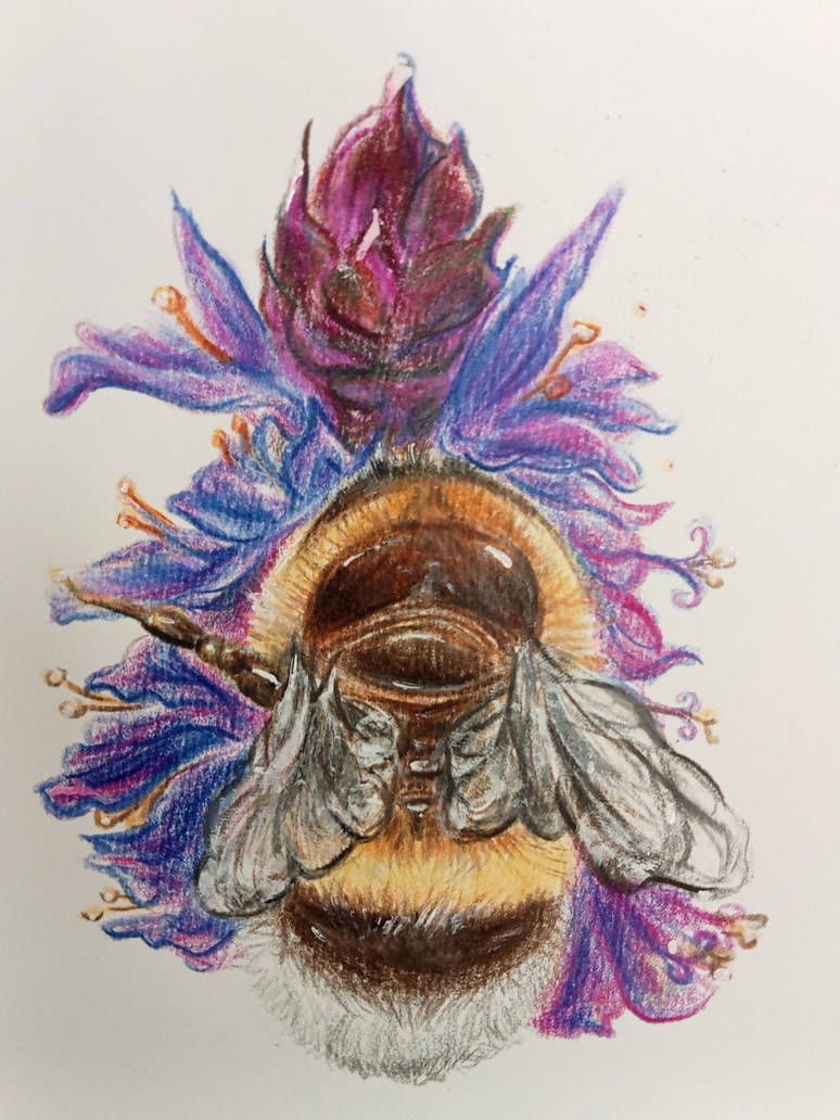 Bee Deviantart Style Bee by MoonBlueXx on DeviantArt