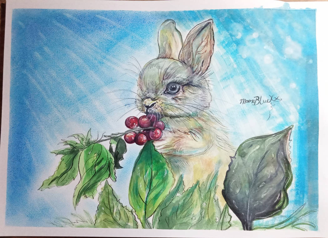 Brown Rabbit Deviantart Rabbit by MoonBlueXx on DeviantArt