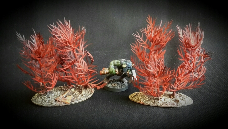 Xenos trees