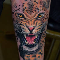 Animal tattoo