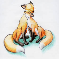 Cuddling Fox Couple