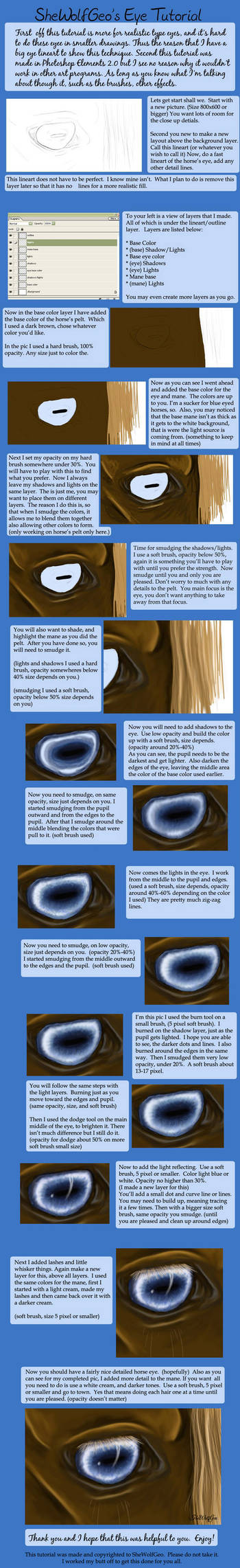 Horse Eye Tutorial by SheWolfGeo