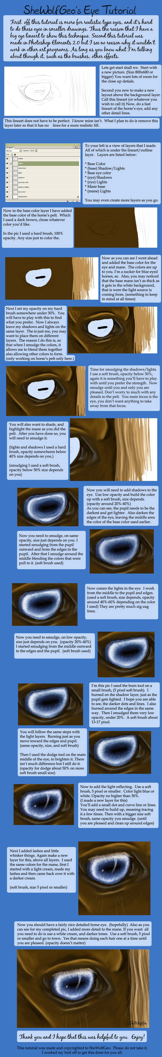 Horse Eye Tutorial by SheWolfGeo