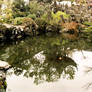 Oriental Gardens: Reflection