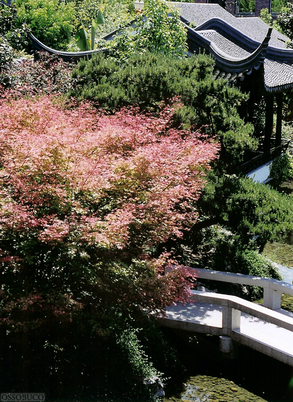 Oriental Garden: Contemplation