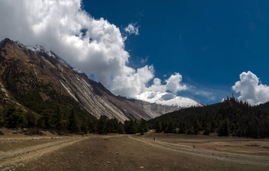 Explore the Best Dwar Art | DeviantArt