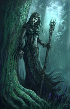 Dryad Forest