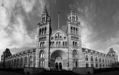 London Natural History Museum